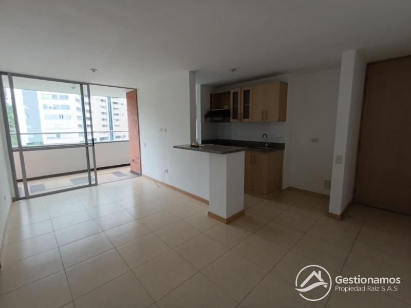 WhatsApp Image 2026-01-14 at 9.31.12 AM.jpeg